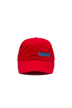 Load image into Gallery viewer, Banking Dad Hat
